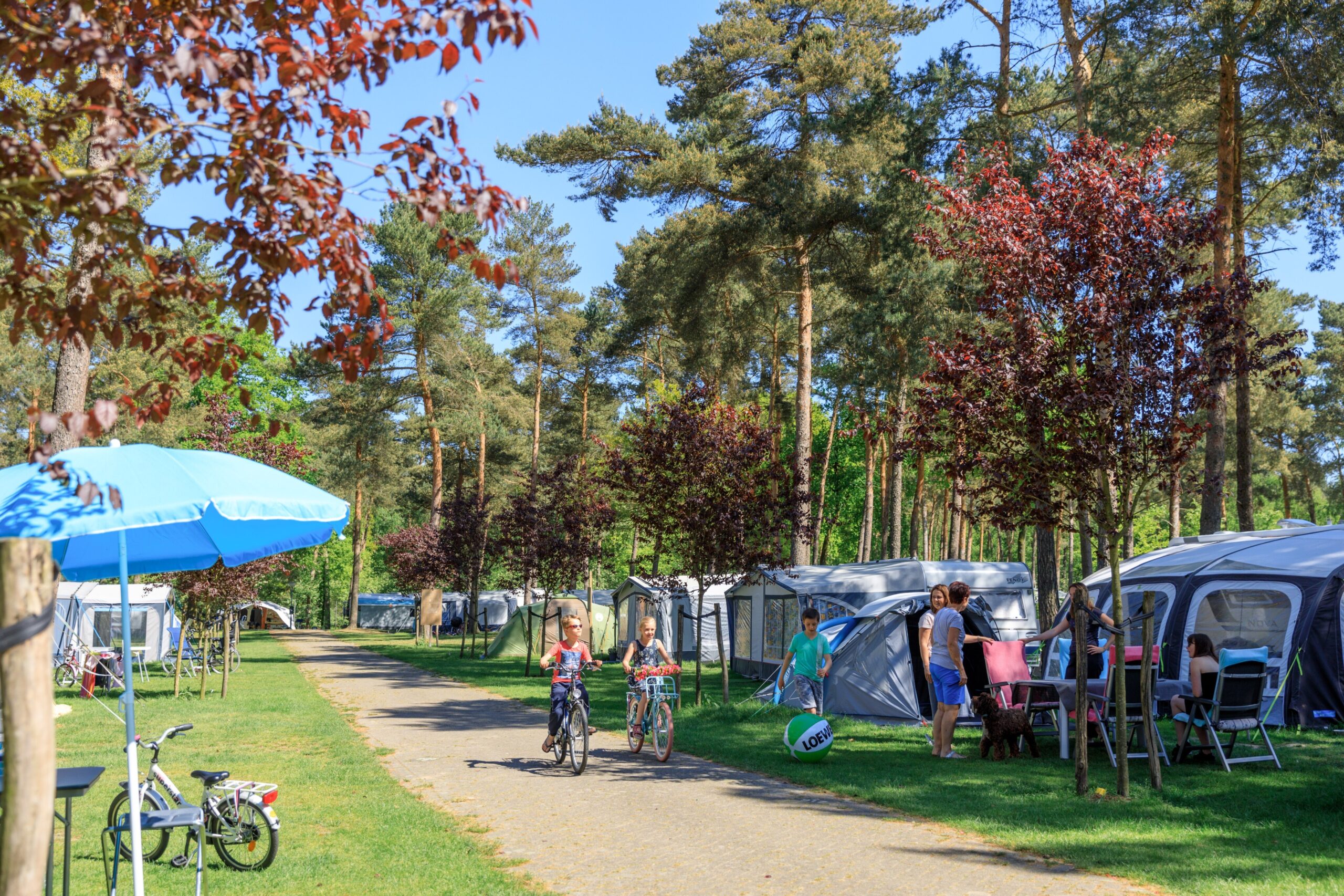 Camping de Heldense Bossen