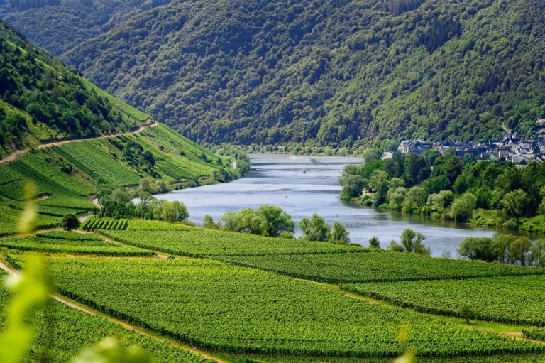 Moselle
