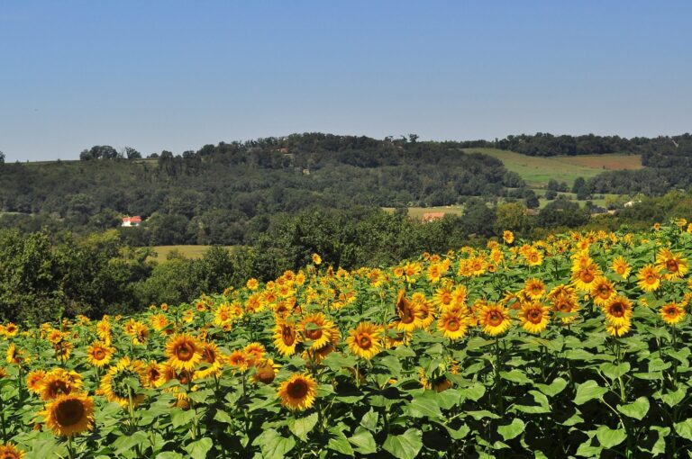 Nouvelle-Aquitaine