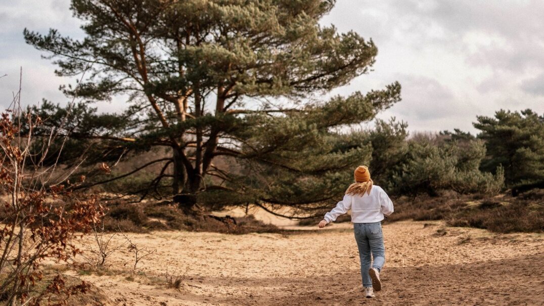 De Zeegser Duinen