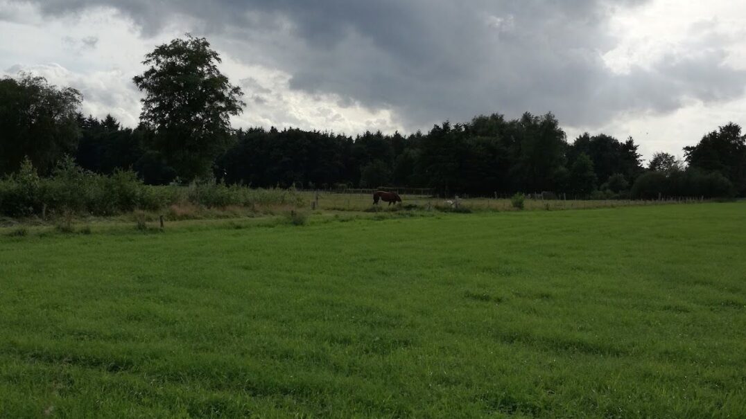 Bungalowpark De Veldkamp