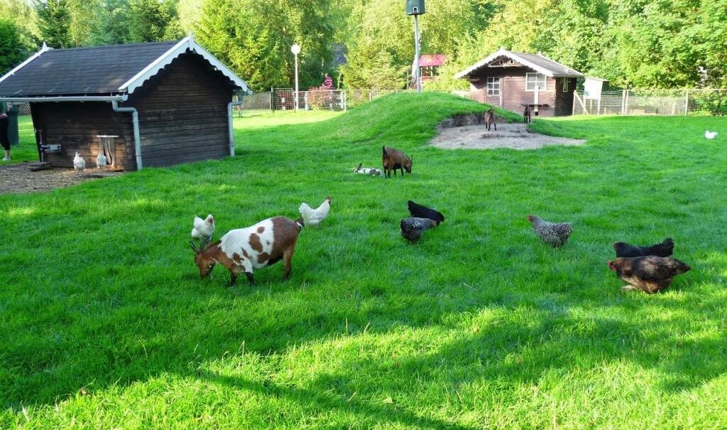 Bungalowpark Het Bosmeer