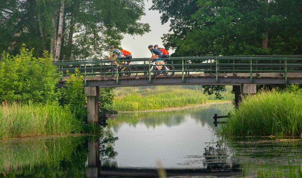 Bungalowpark Het Bosmeer
