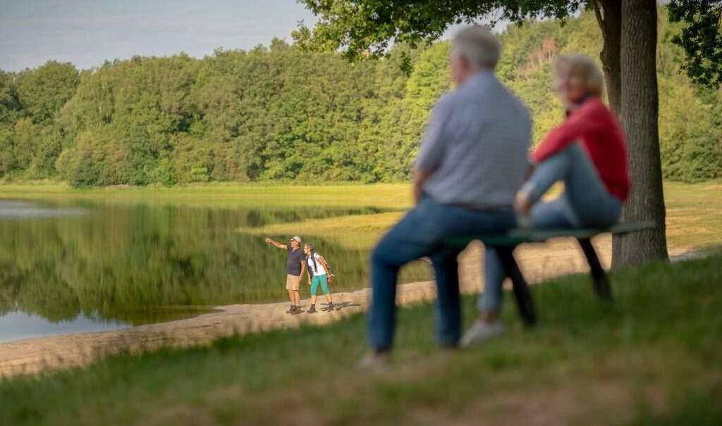 Bungalowpark Het Bosmeer