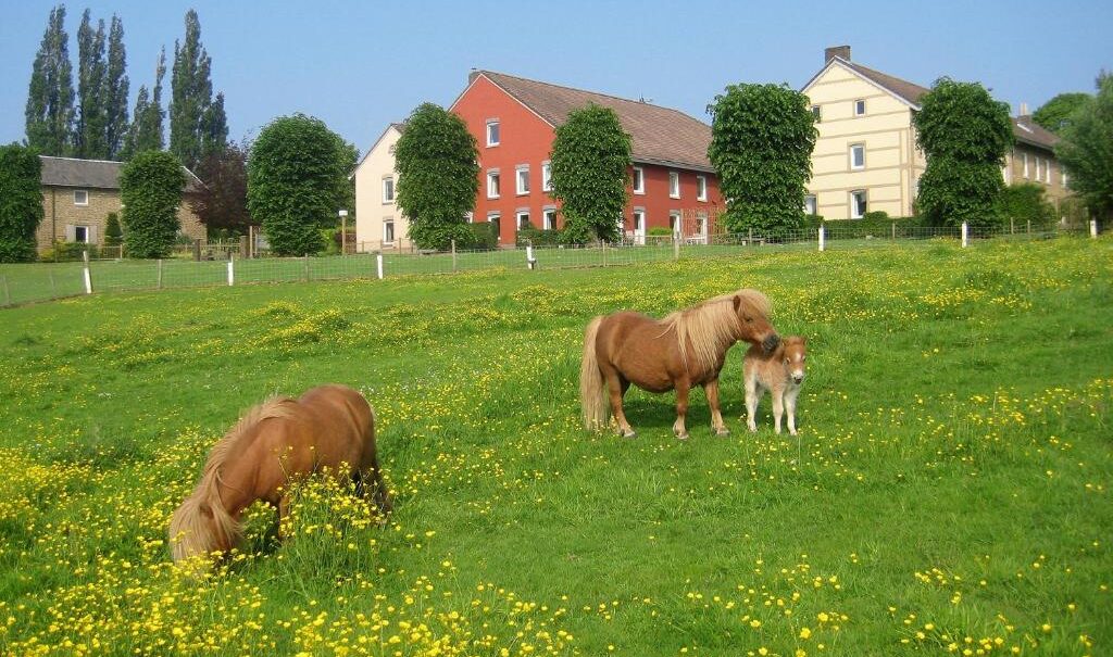 Bungalowpark Landsrade