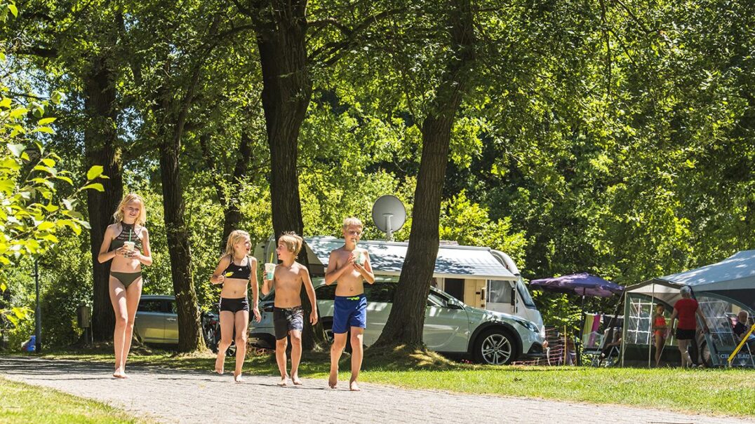 Camping Vreehorst