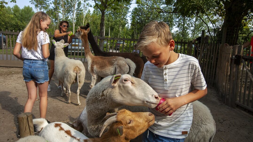 Vakantiepark De Pekelinge