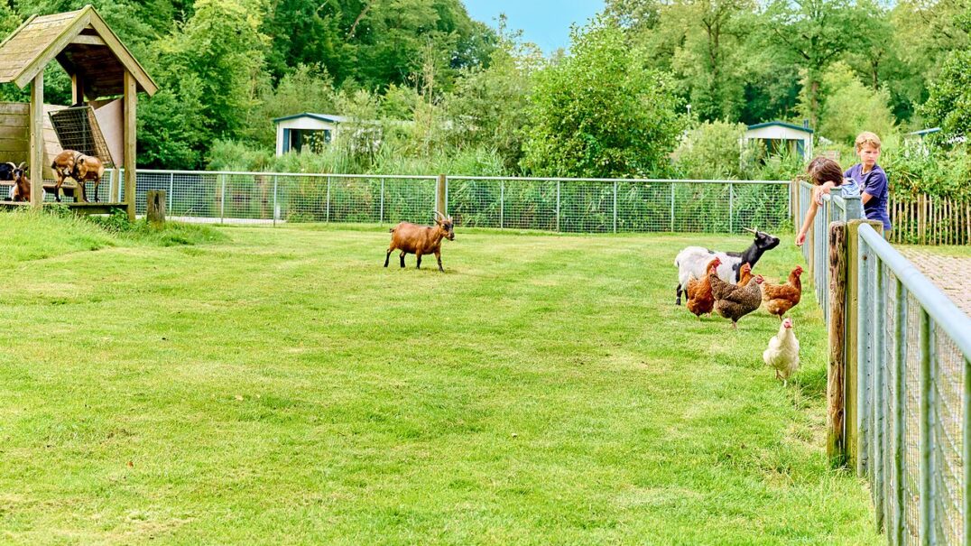 Vakantiepark De Waldsang