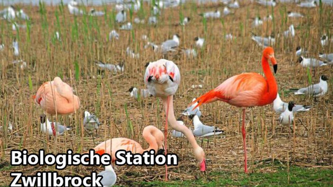 Vakantiepark Eibernest