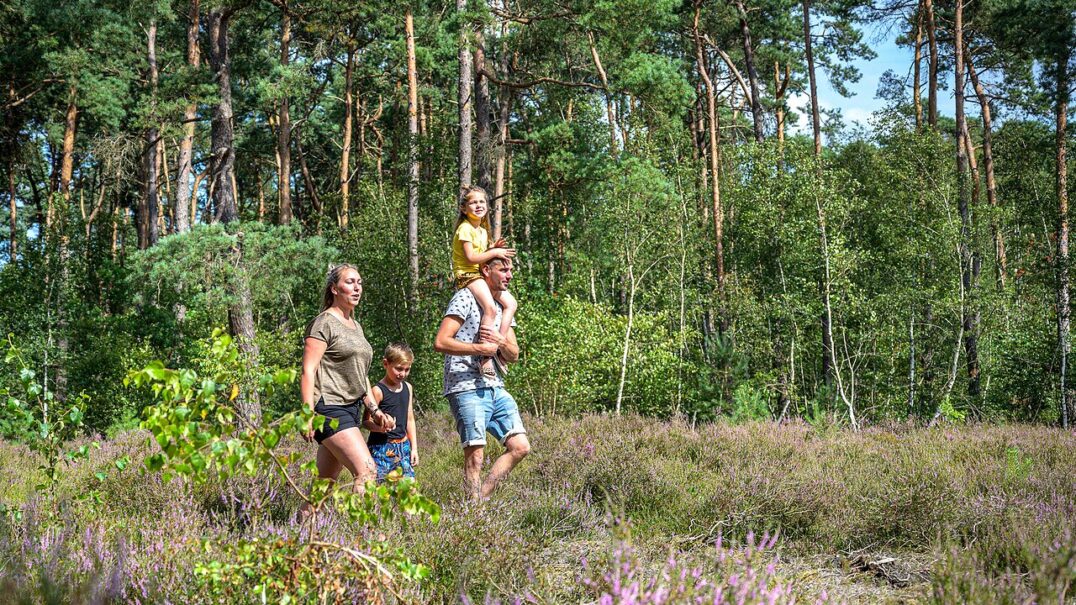 Vakantiepark Zeumersehof