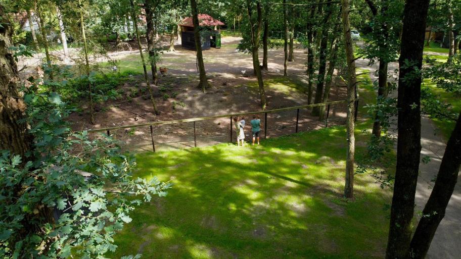 Camping & Bungalowpark Adelhof