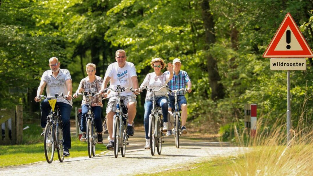 Camping Wedderbergen