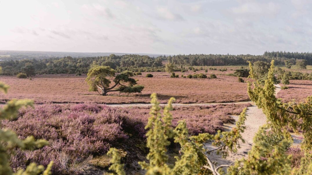 De Lemeler Esch Natuurcamping