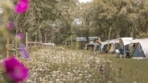 De Lemeler Esch Natuurcamping
