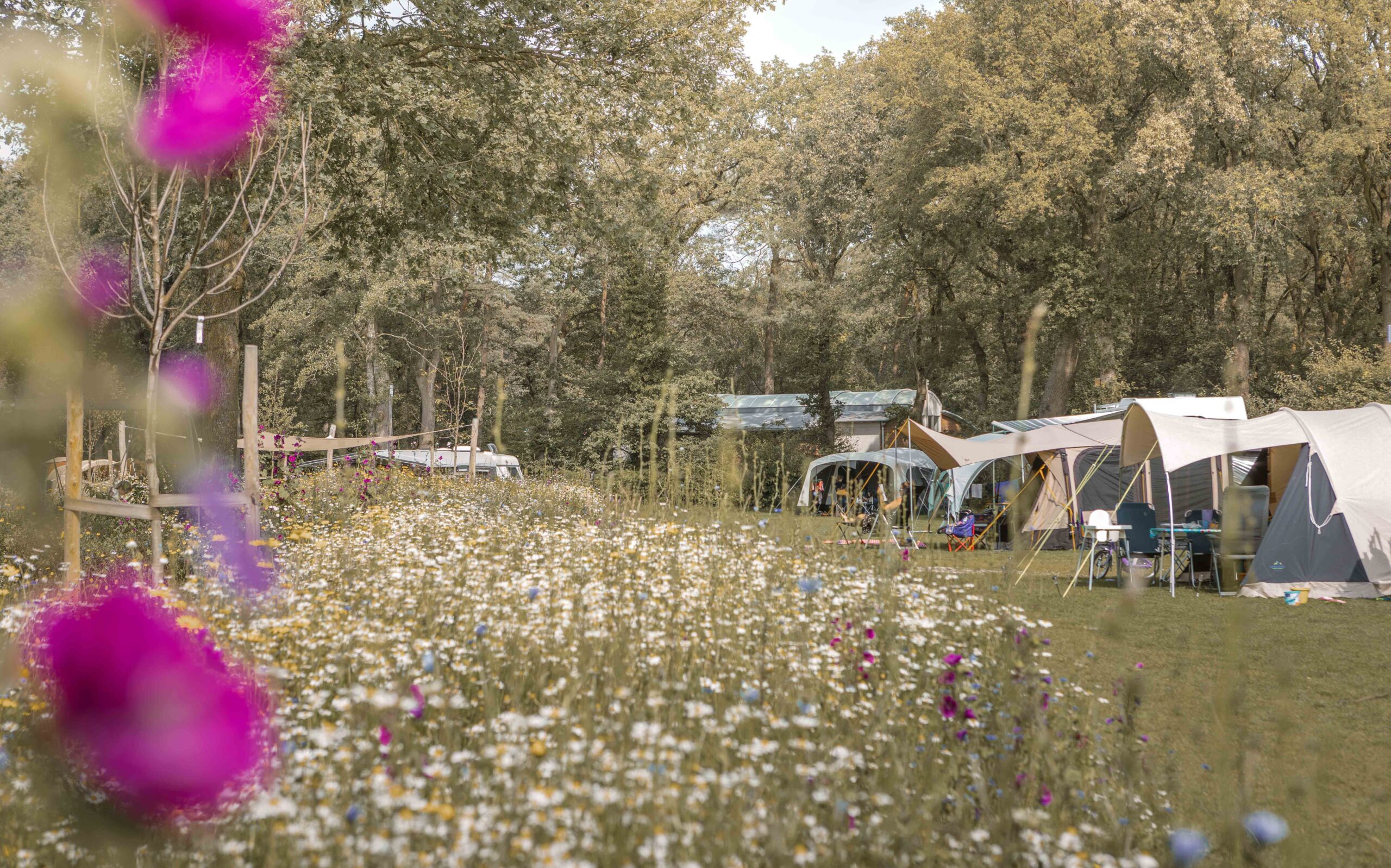 De Lemeler Esch Natuurcamping