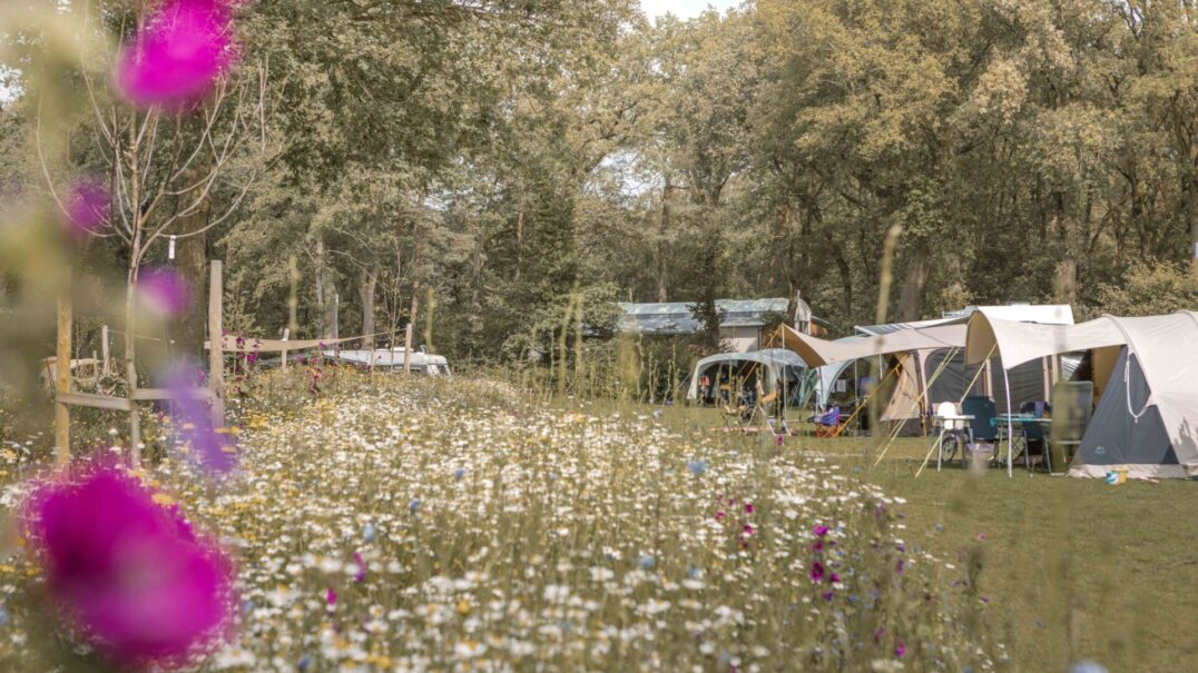 De Lemeler Esch Natuurcamping
