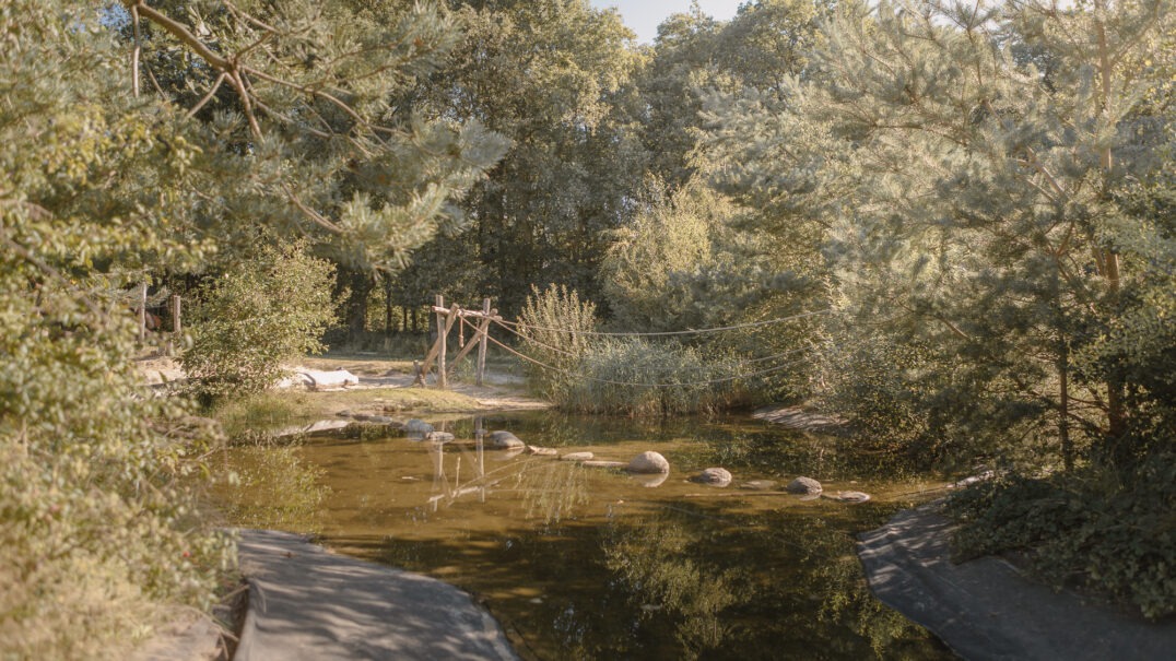 De Lemeler Esch Natuurcamping