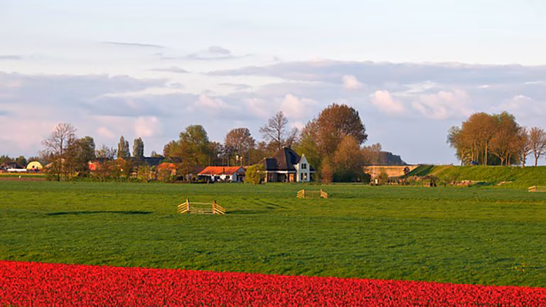 Hotelhuisjes Oosterleek