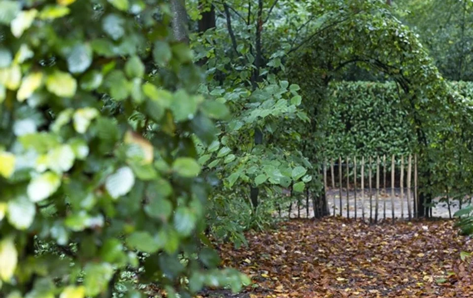 Meeussen Bungalowpark Schuttersoord
