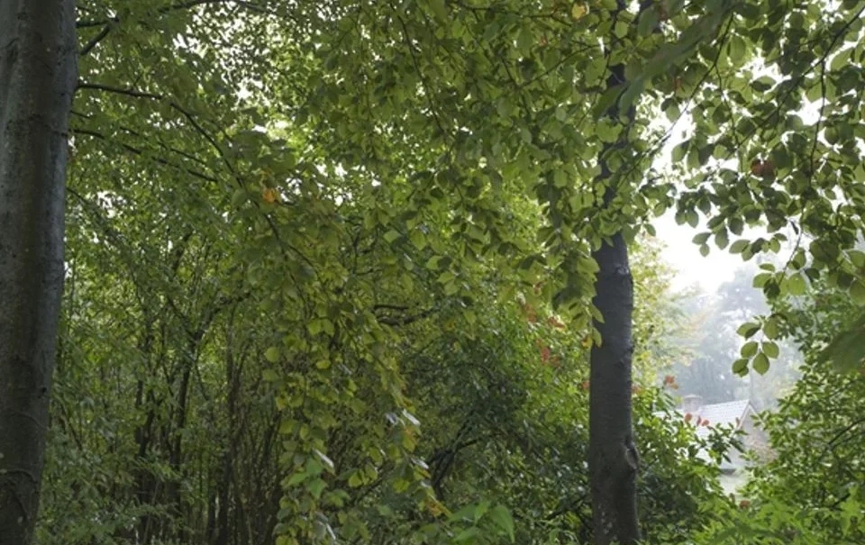 Meeussen Bungalowpark Schuttersoord