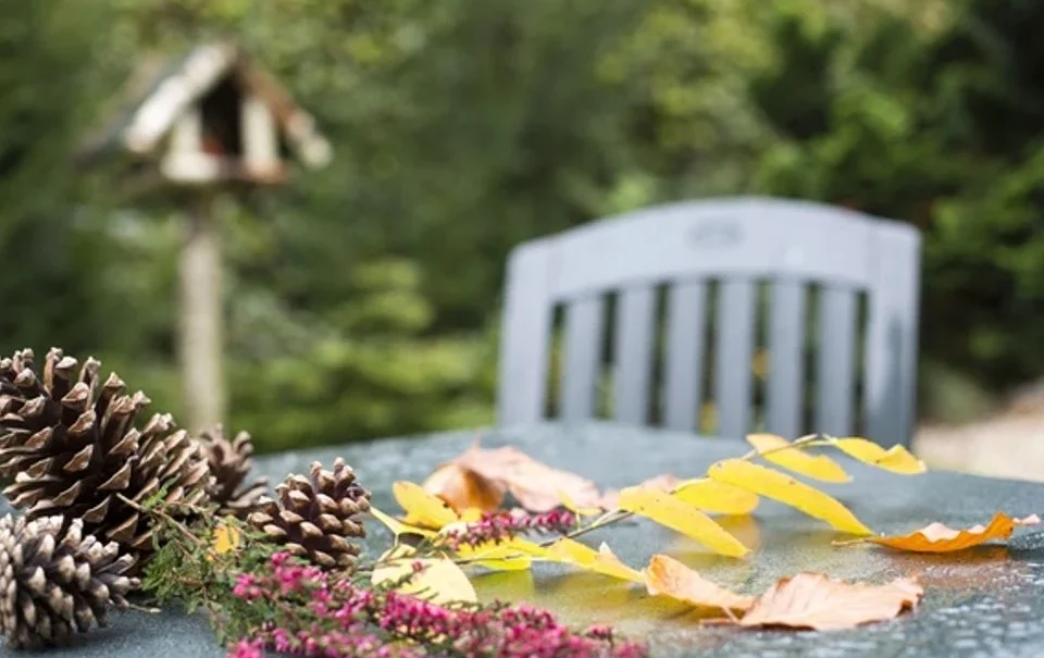 Meeussen Bungalowpark Schuttersoord