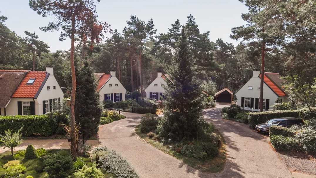 Natuurpark De Witte Bergen