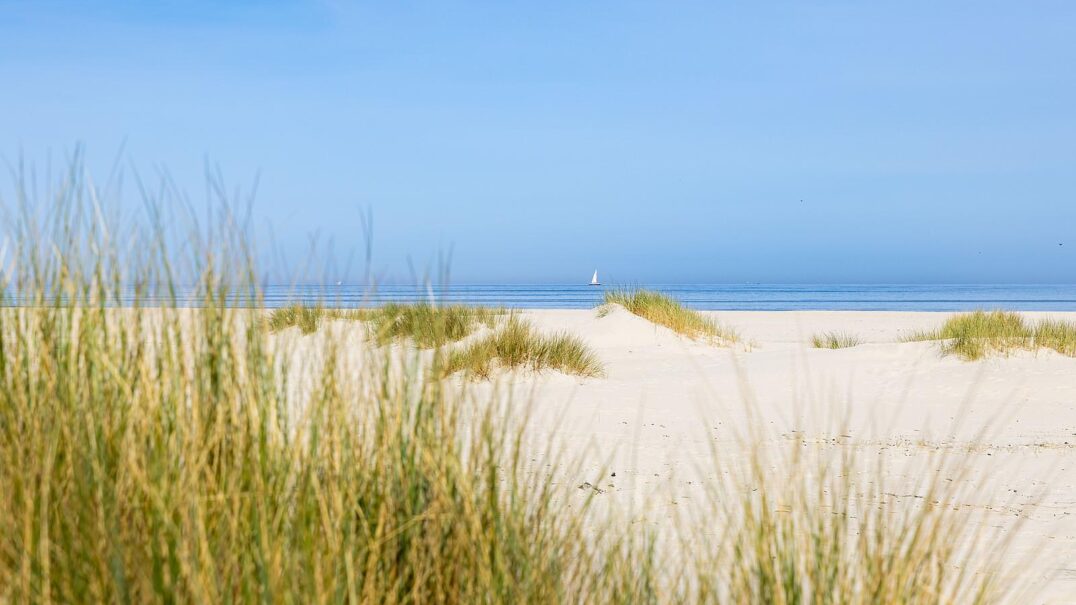 Résidence Terschelling