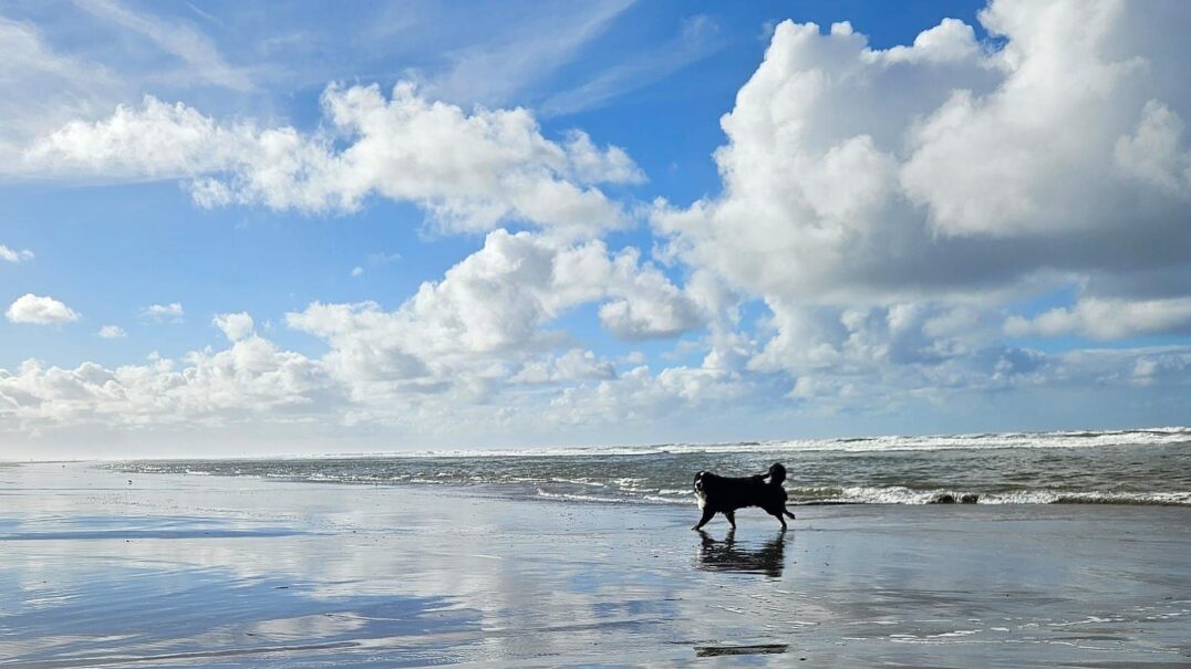 Résidence Terschelling