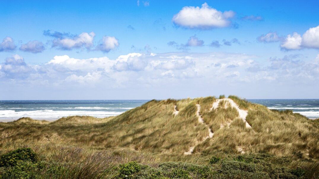 Résidence Terschelling