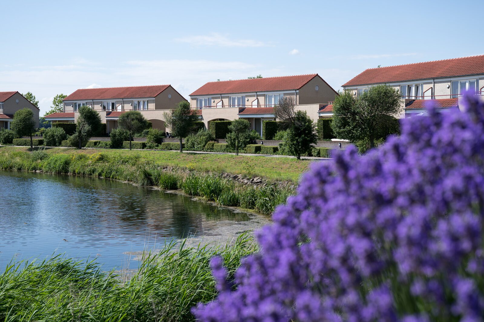 Resort Boschmolenplas