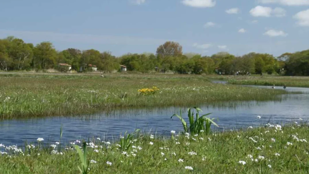 Vakantiepark de Bremakker