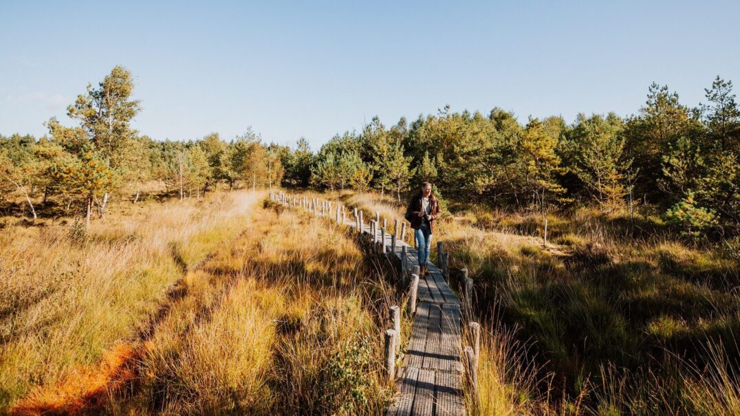 Vakantiepark De Wiltzangh