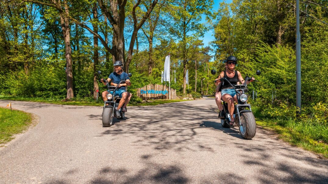 Vakantiepark De Wiltzangh