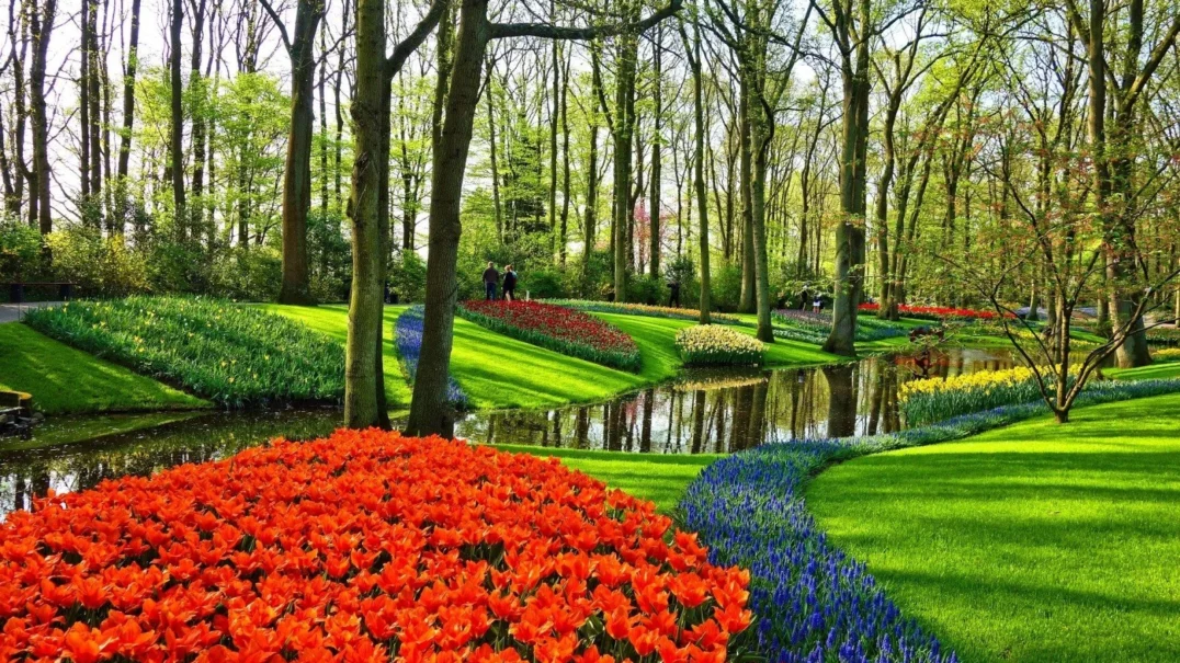 Vakantiepark Delftse Hout