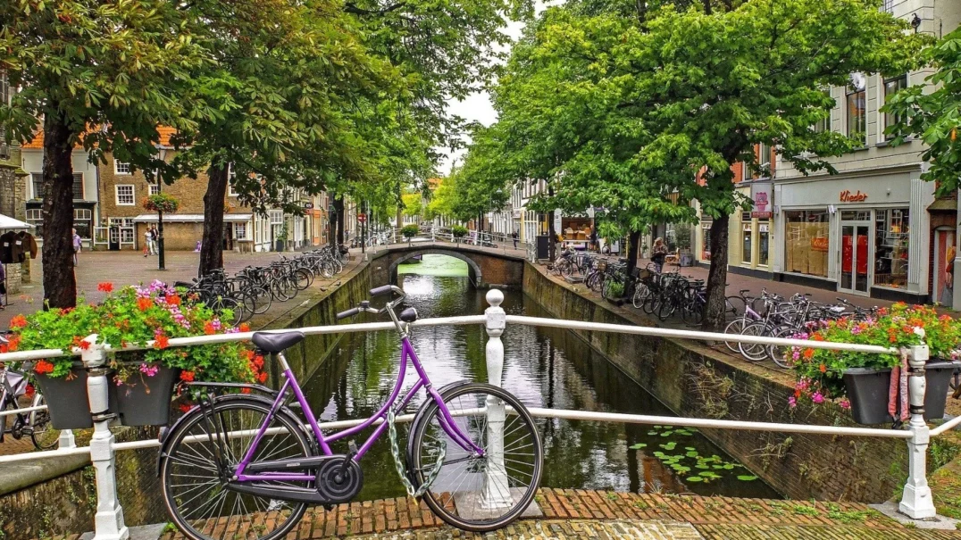 Vakantiepark Delftse Hout