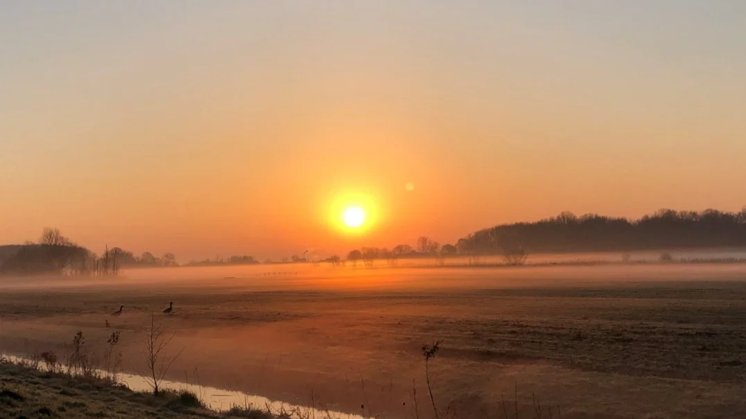 Vakantiepark Delftse Hout