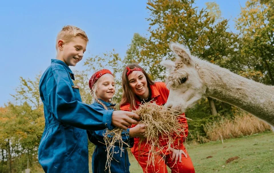 Vakantiepark Dierenbos