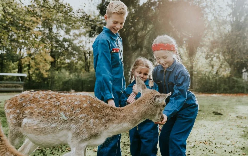 Vakantiepark Dierenbos