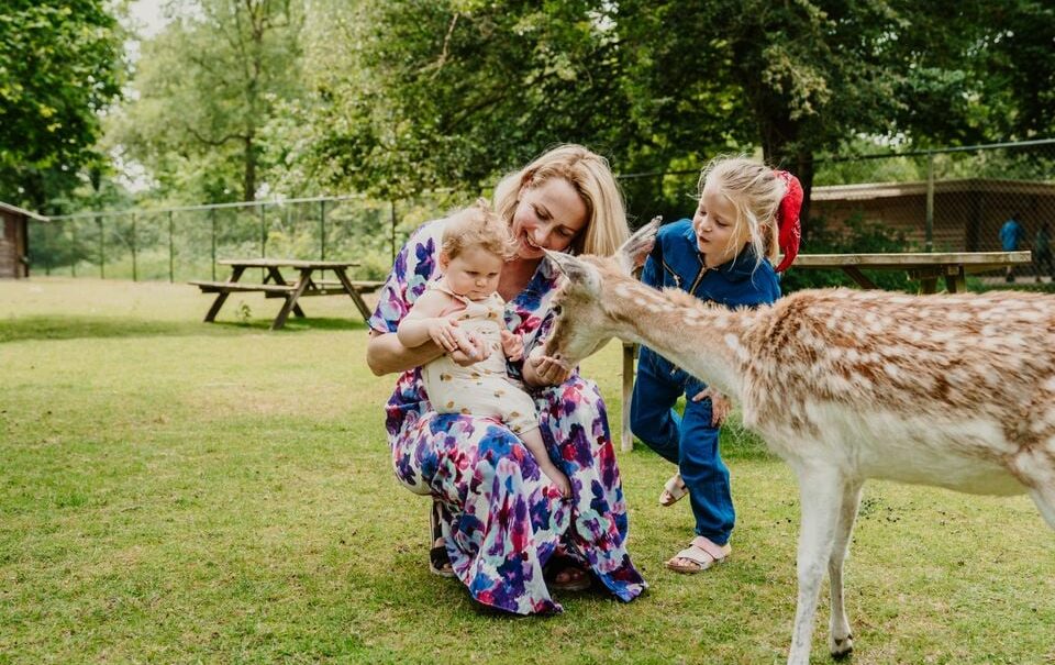 Vakantiepark Dierenbos