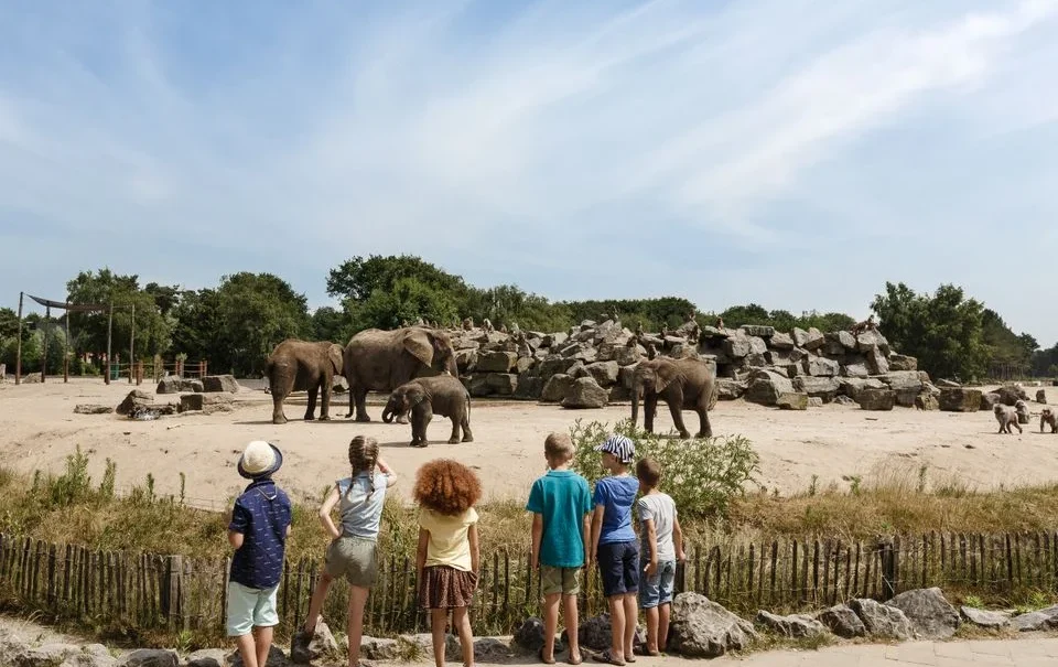 Vakantiepark Dierenbos