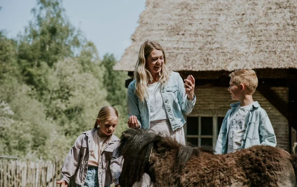 Vakantiepark Dierenbos
