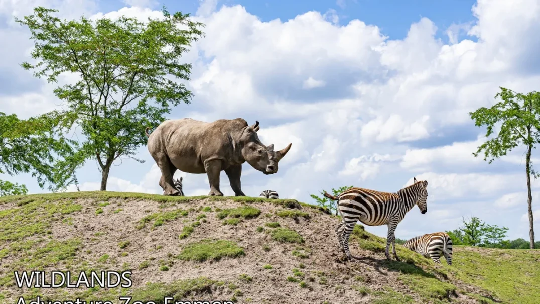 Vakantiepark Het Stoetenslagh