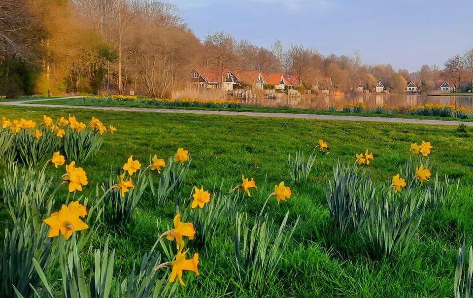 Vakantiepark Het Timmerholt
