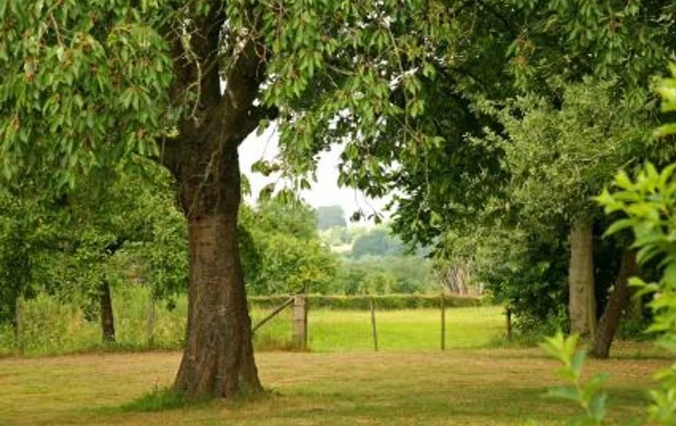 Vakantiewoningen de Zavelberg