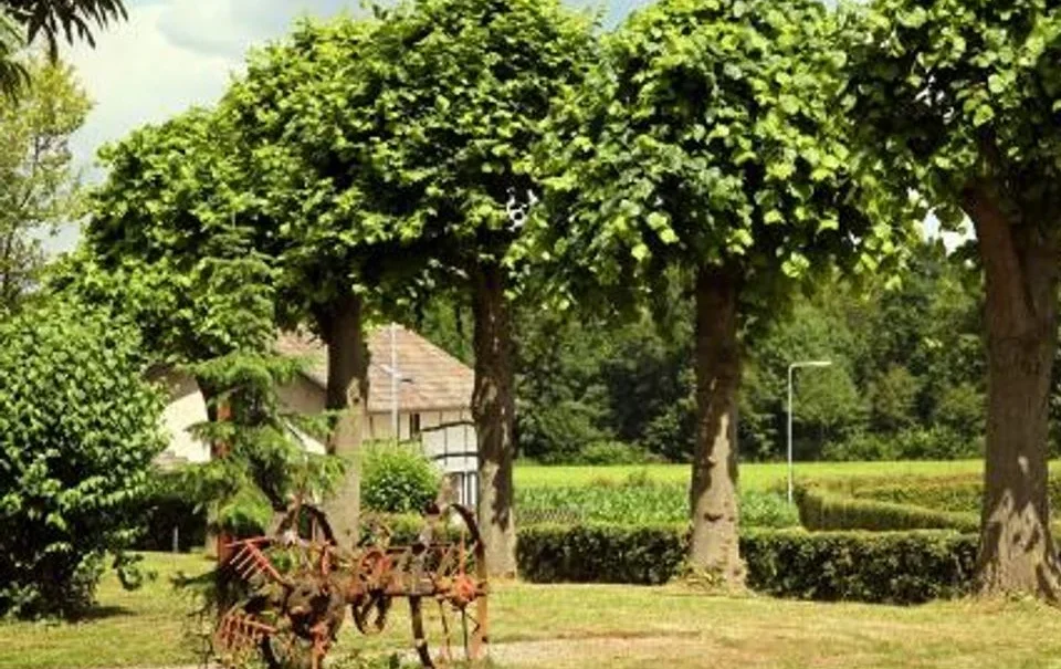 Vakantiewoningen de Zavelberg