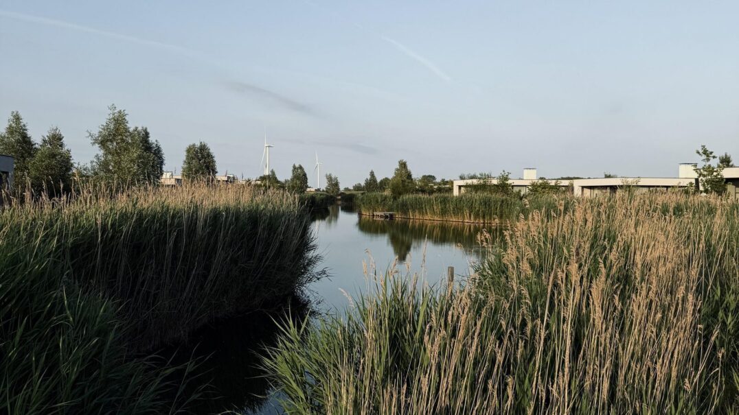 Z’ANDvillas De Groote Duynen